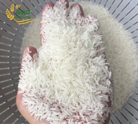 ST25 rice was well milled, double polished and sortexed