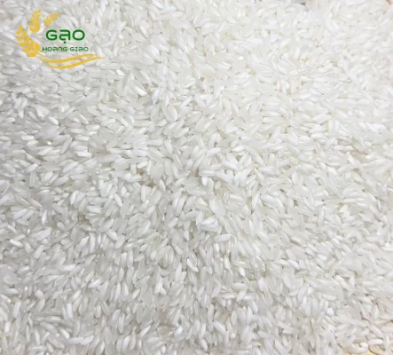 504 rice was well milled