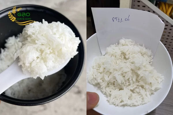 Rice cooked from ST21 rice