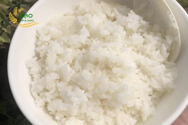 The rice is cooked from Japonica rice
