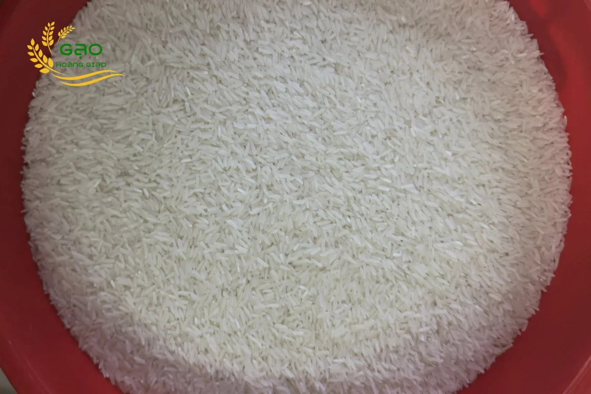 ST25 rice grains are long, slender, and bright white in appearance