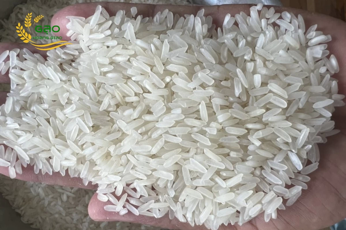 Jasmine rice is a long-grain variety of rice
