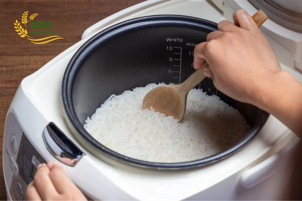 How to cook Jasmine rice in a rice cooker