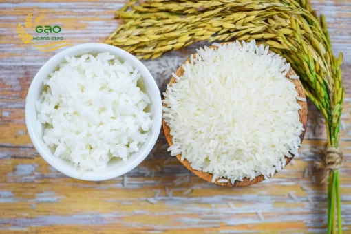 Jasmine paddy, Jasmine rice and Jasmine steam rice