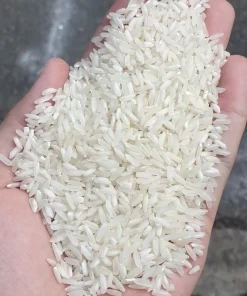 OM 504 rice grains are long and white