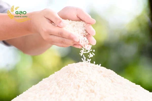 Best rice in Vietnam