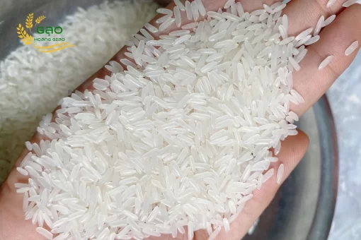 DT8 rice grains are long, thin, clear white