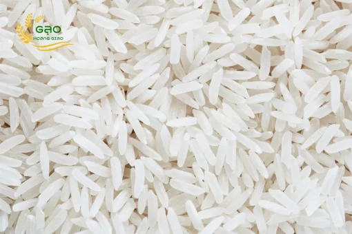 ST25 rice grains are long and white