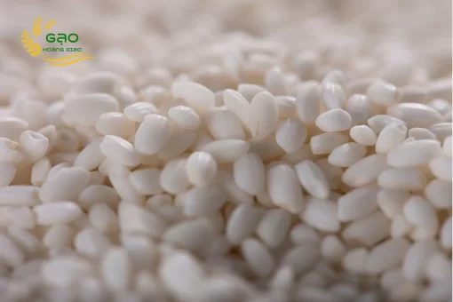 Glutinous rice grains are chalky white