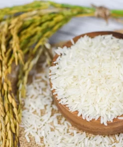 Ham Chau rice is grown from a short-term paddy variety