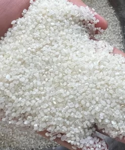 Japonica 100% broken rice of Hoang Giao Rice Exporter