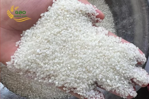 Japonica 100% broken rice of Hoang Giao Rice Exporter