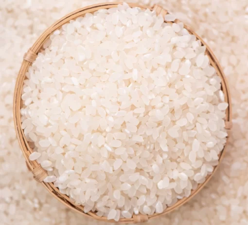 Japonica rice