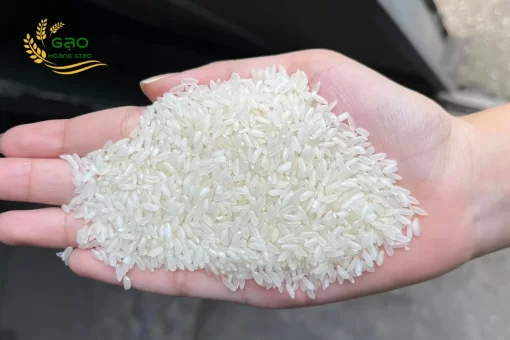 Lai Mien rice of Hoang Giao Rice Mill