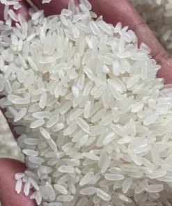 Mot Bui rice of Hoang Giao Rice Mill