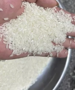 OM 504 rice of Hoang Giao Rice Mill