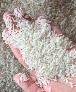 OM 5451 rice has long and slender grains