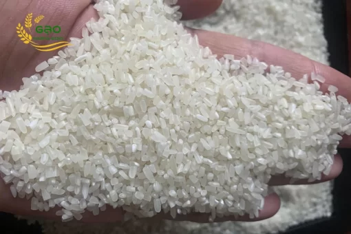 The fragrant broken rice of Hoang Giao Rice Mill