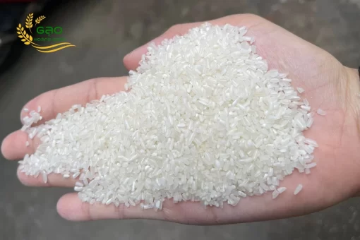 The rice grains are opaque white