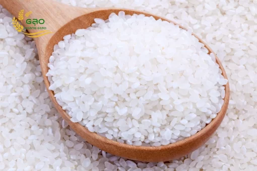 Vietnamese Japonica rice