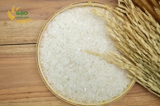 ST25 rice grains are natural white