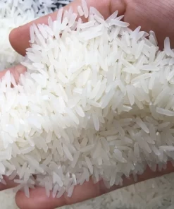 ST24 rice is one of the best rice varieties in the world