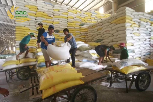 The rice warehouse of Hoang Giao Rice Exporter