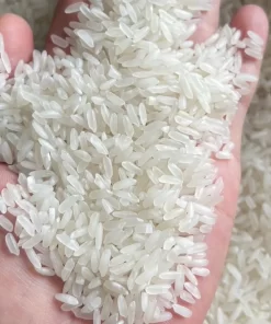 OM380 rice has long, slender grains