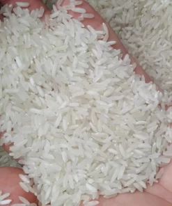 OM 380 rice sample at Hoang Giao Rice Exporter