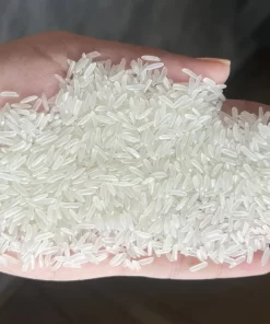 ST21 rice is a high-quality aromatic rice variety