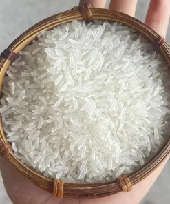 ST21 rice