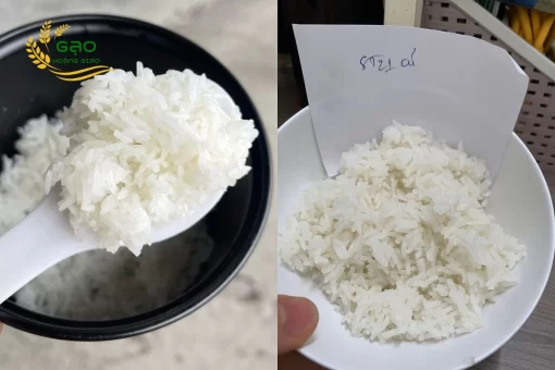 Rice cooked from ST21 rice