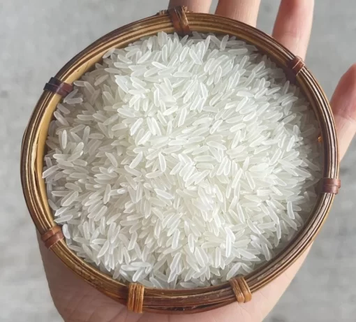 ST21 rice