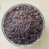 Black rice