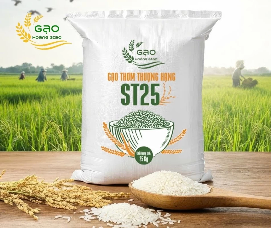 Where to buy ST25 rice