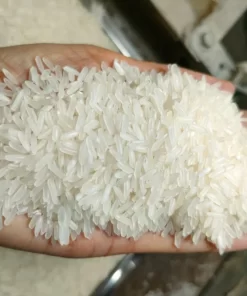 Jasmine rice has bright white appearance